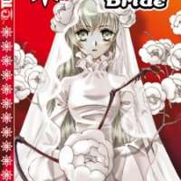   Devil s Bride <small>Story</small> 